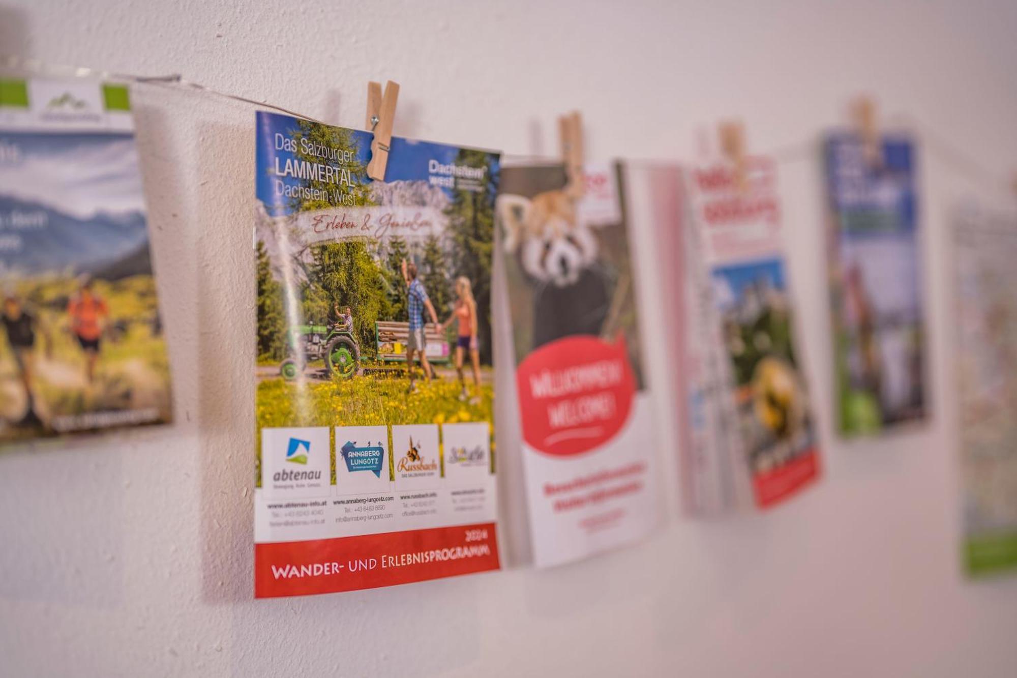 Ferienwohnung Andexlinger Abtenau Exteriör bild